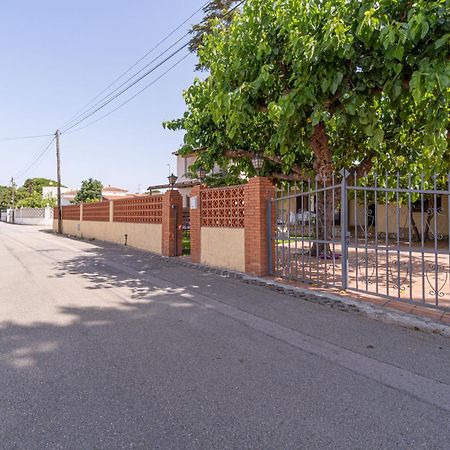 Apart-Rent Casa Con Jardin Pani 0081 Empuriabrava Exteriör bild